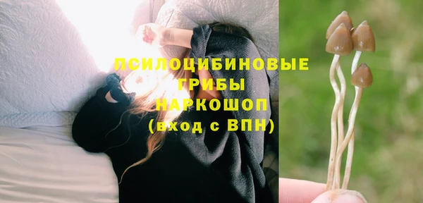твердый Медногорск
