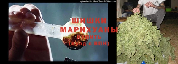 твердый Медногорск