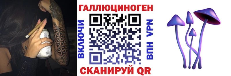 Псилоцибиновые грибы Cubensis  закладки  Сорск 